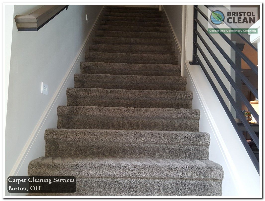 Bristol Clean – Carpet Cleaning