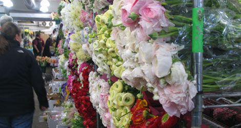 Flower Bazaaar