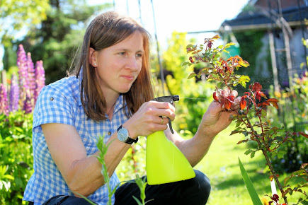 GreenLeaf Pest Control