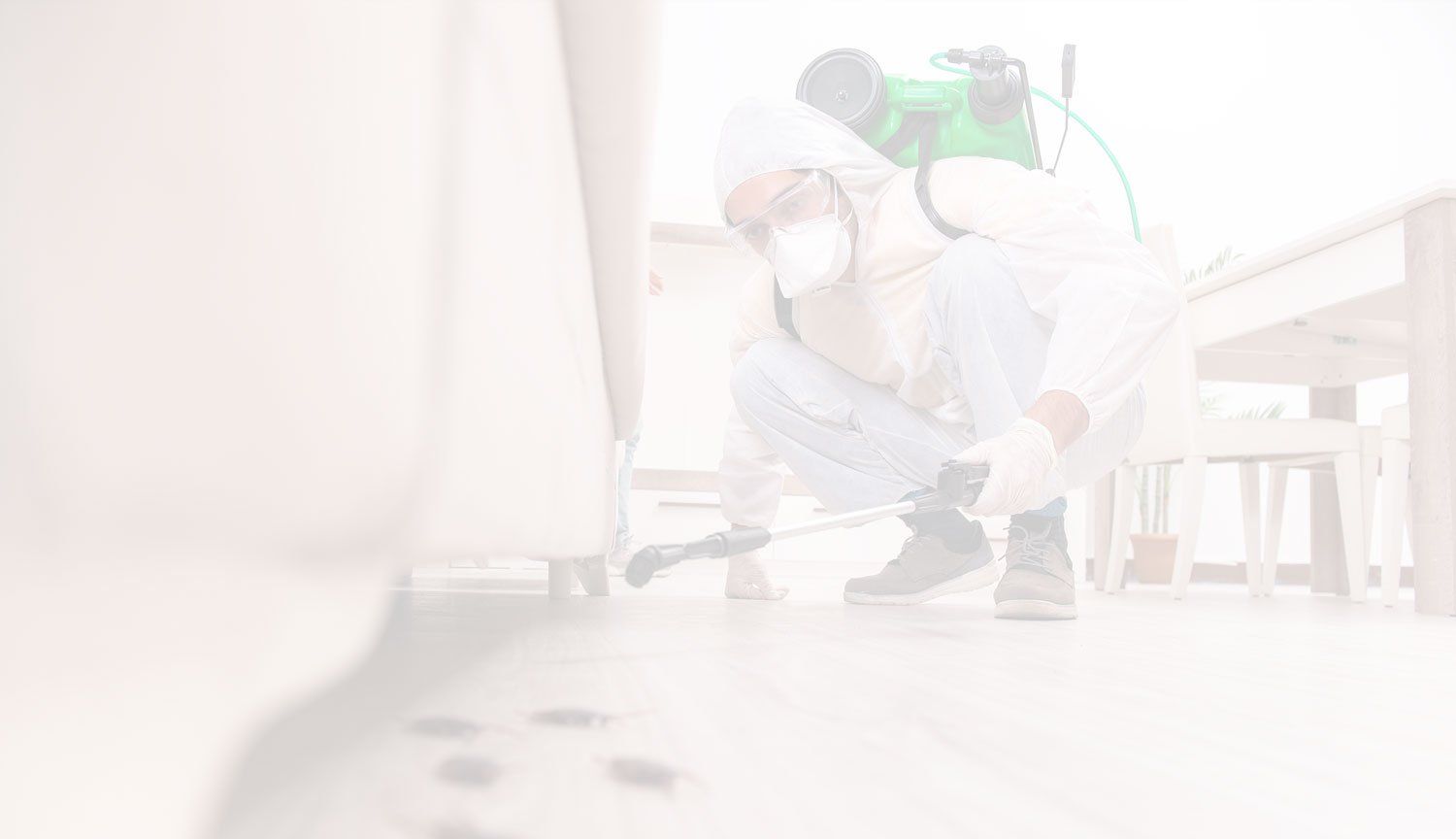 Citrus Heights Pest Control Pros