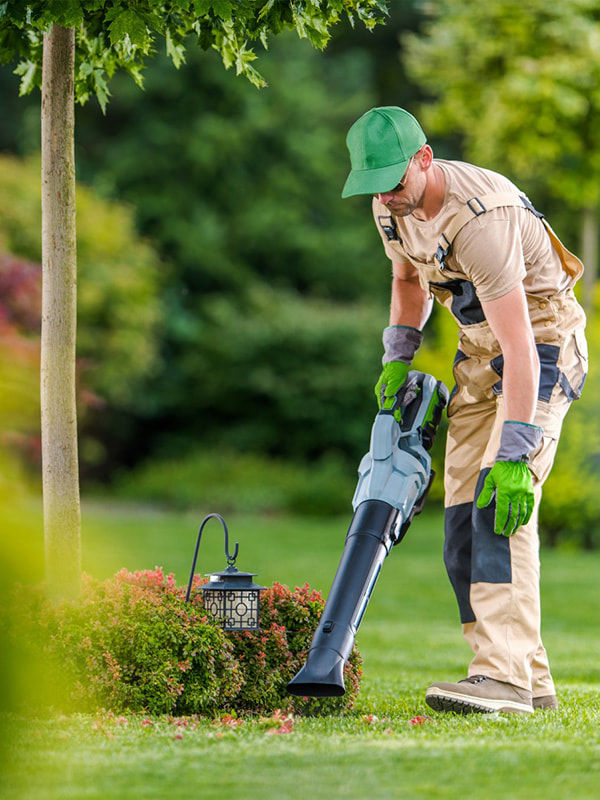 Tally Lawncare Pros