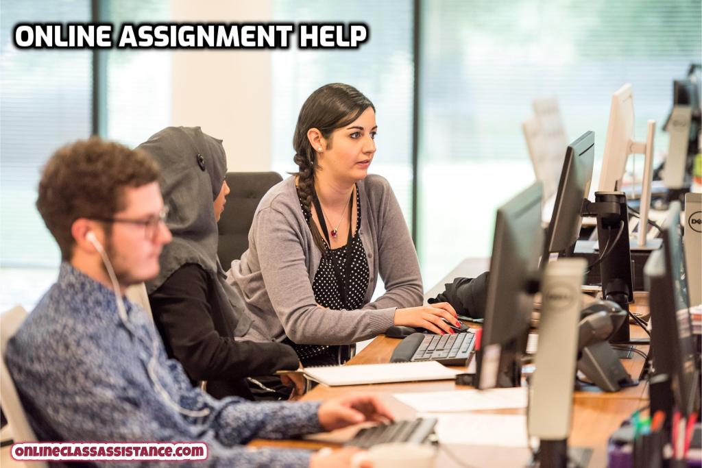 Online Class Assistance