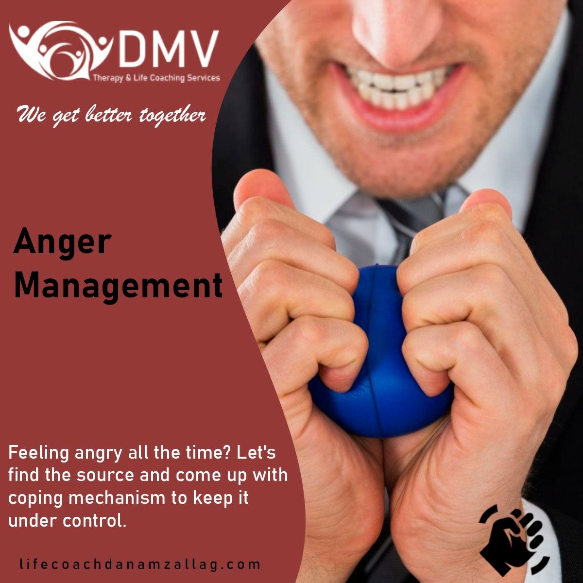 DMV counseling and Life coaching services:Dr Dan amzallagm