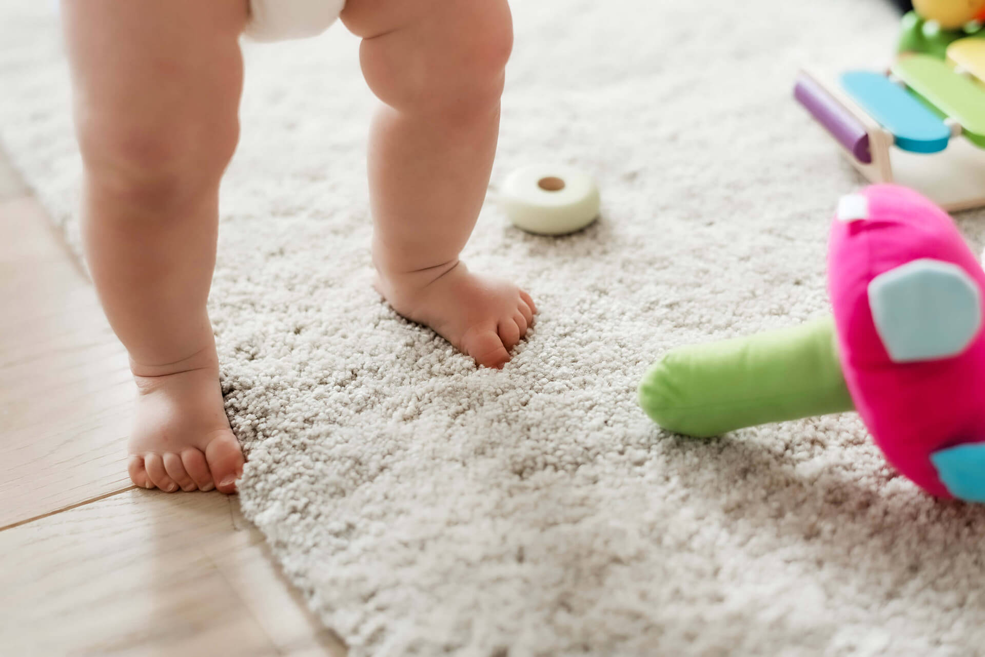 Rug Cleaning Long Island