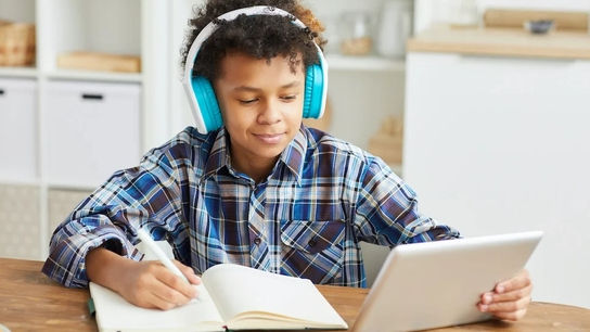 No Fuss Tutors
