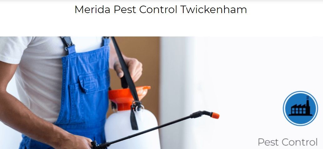 Merida Pest Control-Twickenham