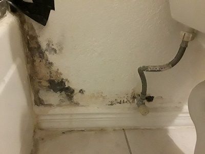 Mold Remediation USA