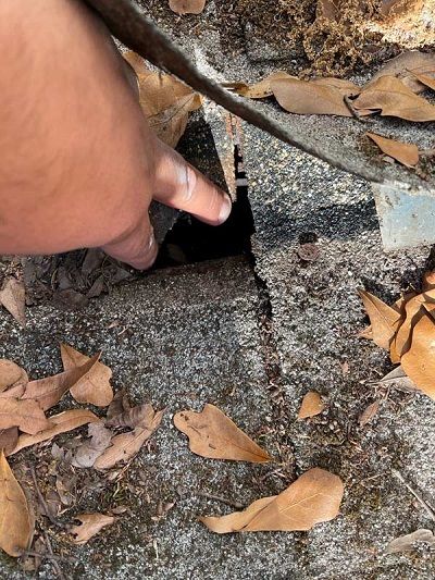 Palmetto Roofers