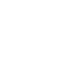 Flightfins