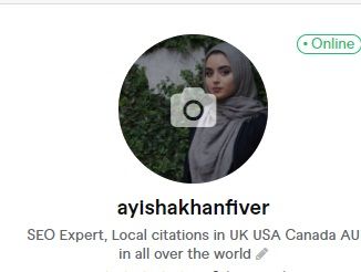 ayishakhanfiver on fiverr