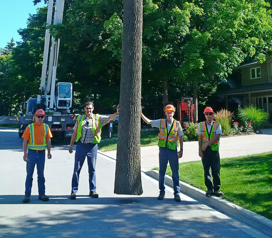 Florapine Tree Service