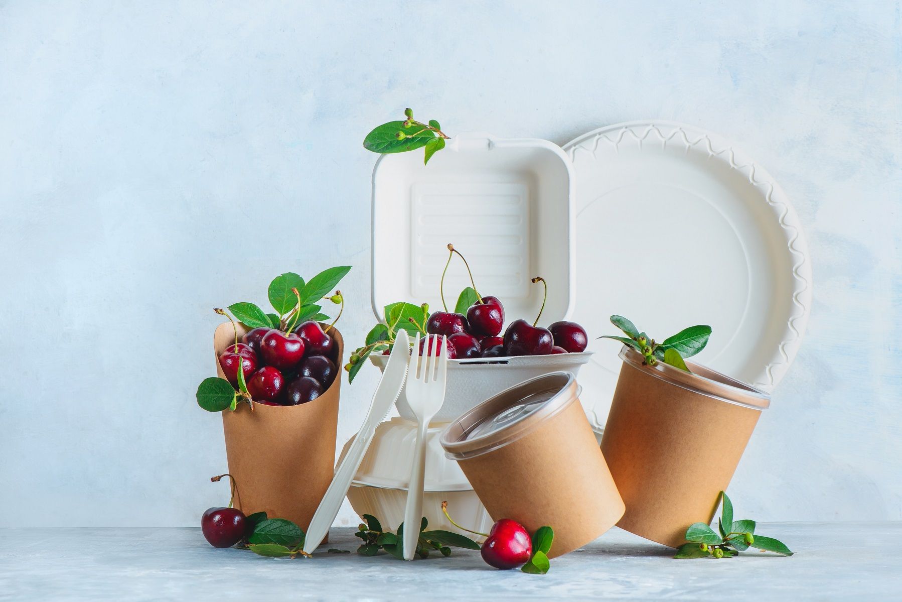 Food Packaging Direct