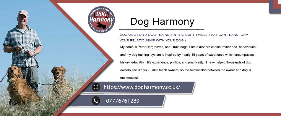 Dog Harmony 