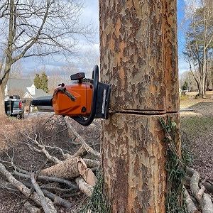 Tree Commando
