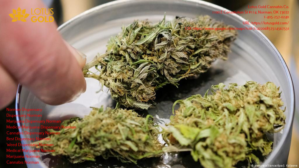 Lotus Gold Cannabis Co.