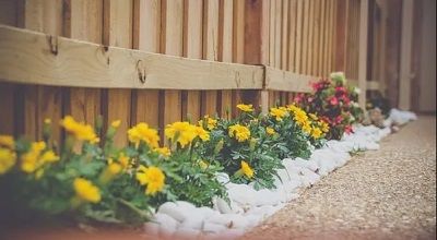 Oviedo Landscaping