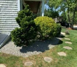 Mid Cape Landscaping Pros