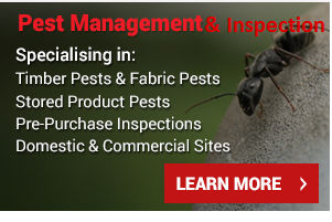 All Bugs Termite Management Services Pty Ltd