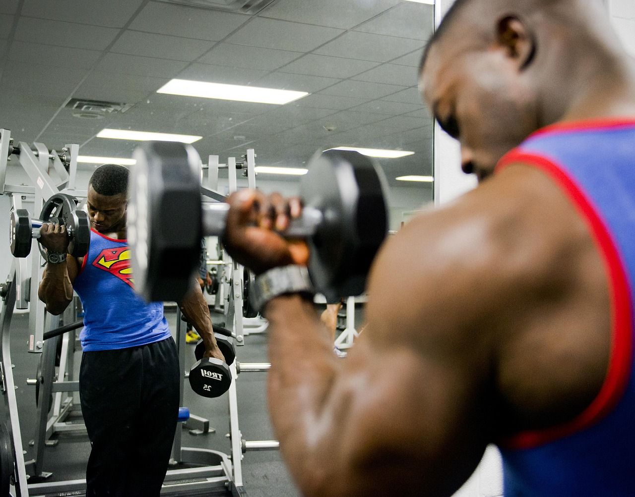 Weight Lifting HQ LLC