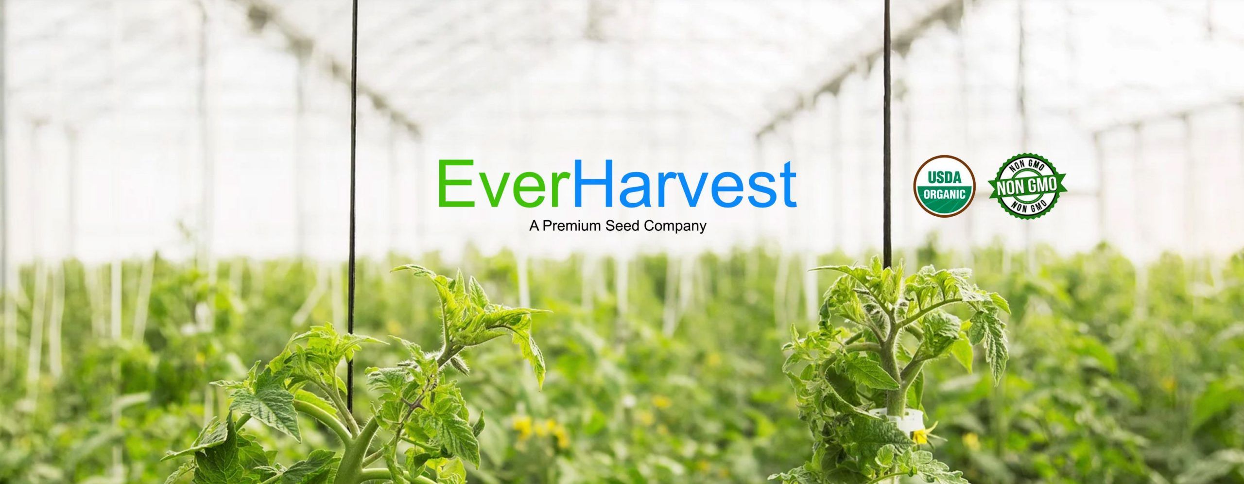 Everharvest