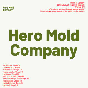 Hero Mold Company