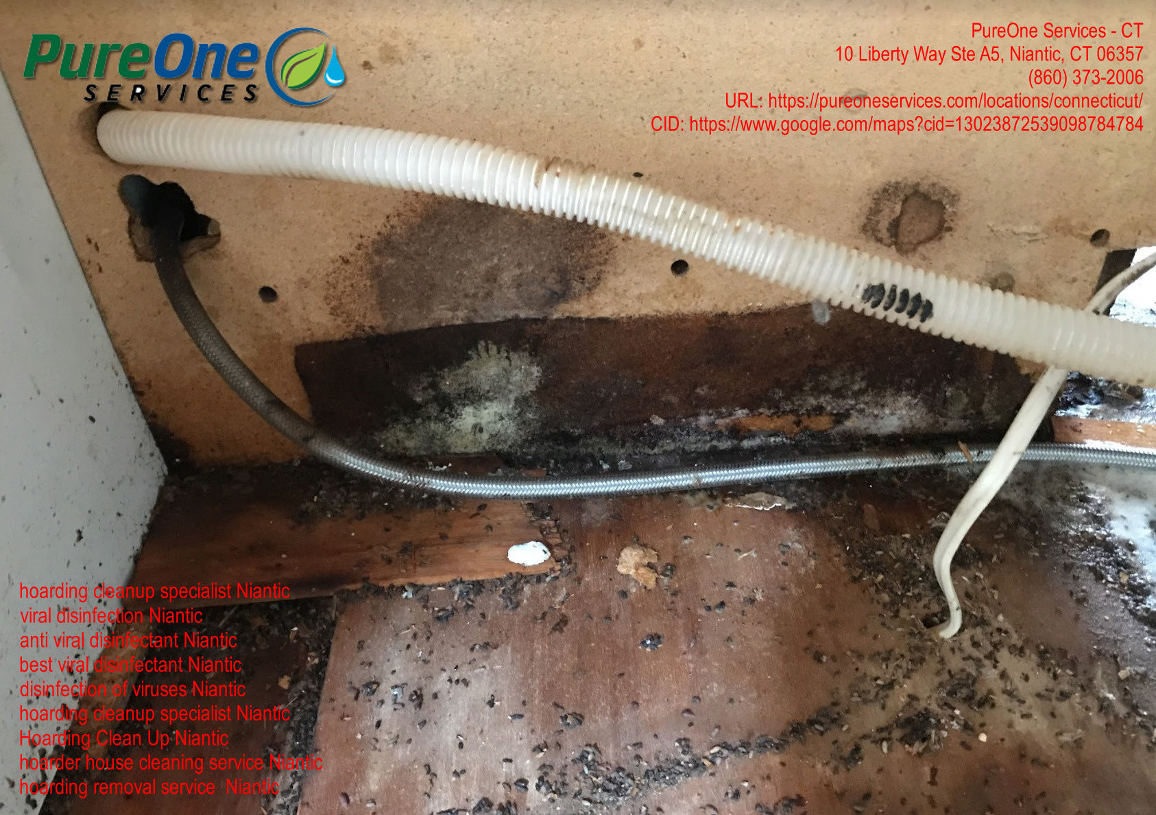 PureOne Services CT