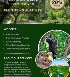 Tree Services – Treefari