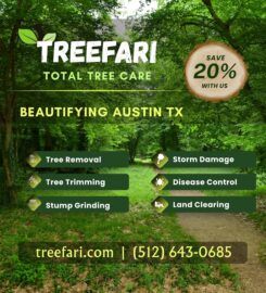 Tree Services – Treefari