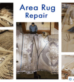 A and B Carpet Cleaning