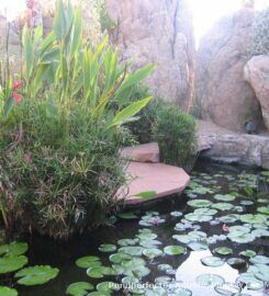 Pond Perfecter
