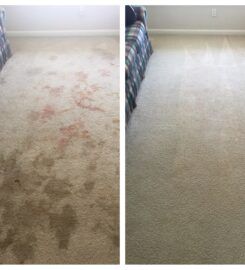 Discover Carpet Care