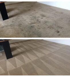 Discover Carpet Care
