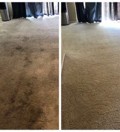 Discover Carpet Care