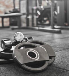 Vertex Fitness Services