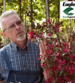Eagle Tree Experts