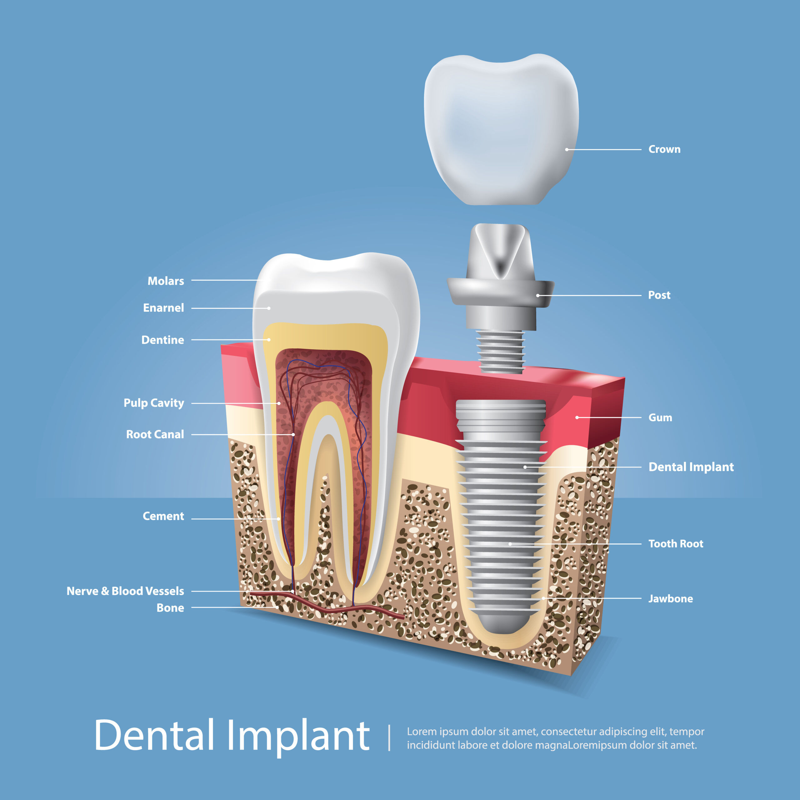 Smile Fitness Dental Center