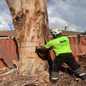 Elite Tree Services WA