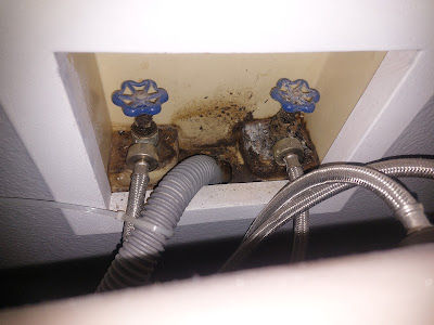 Tampa Home Inspections – Lutz FL