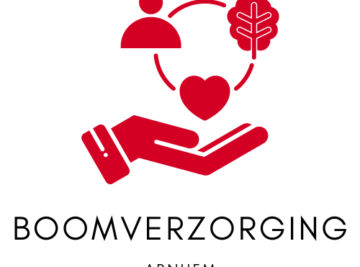 Boom bast tijdig behandeld
