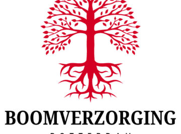 Boomschade snel opgemerkt