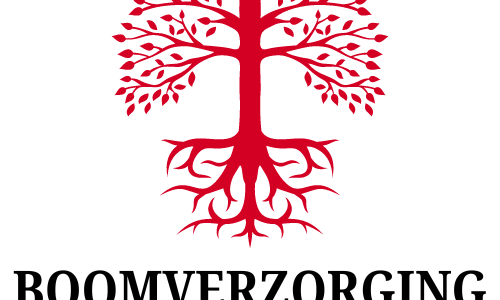 Boomschade snel opgemerkt