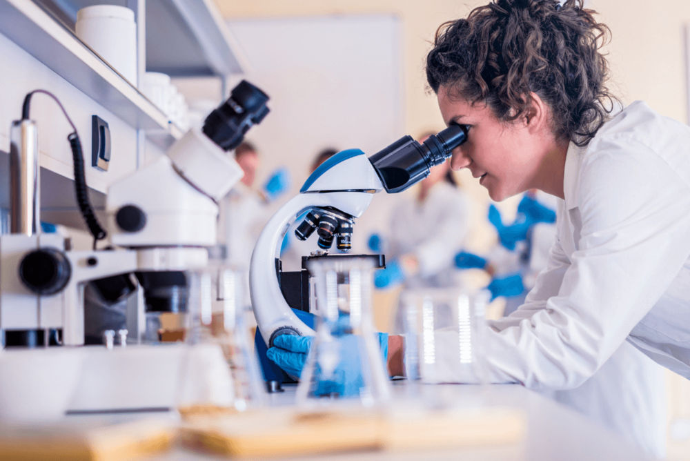 SJ Labs and Analytics