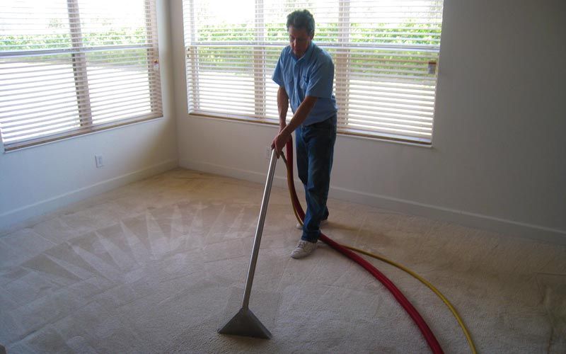 Ever Steam Carpet Cleaning LLC