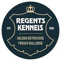 Regents Kennels – Golden Retrievers and French Bulldogs