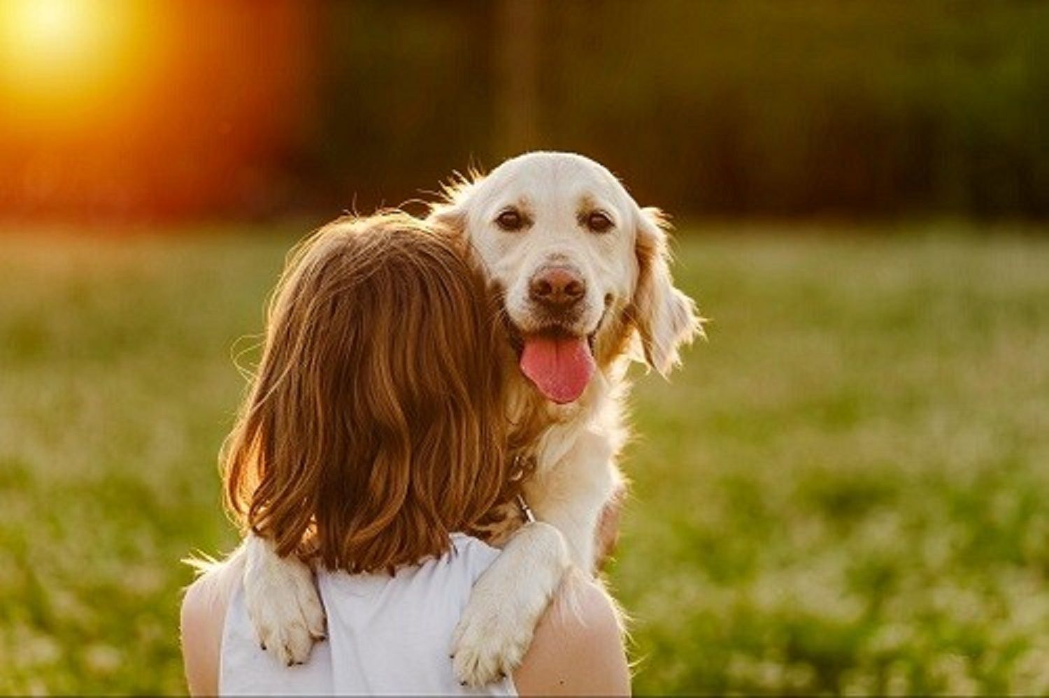 Pet Stop of Cincinnati