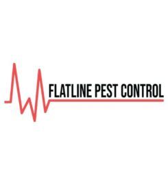 Pest Control Long Jetty – Flatline Pest Control