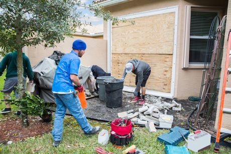 Apex Restoration & Mitigation Inc.