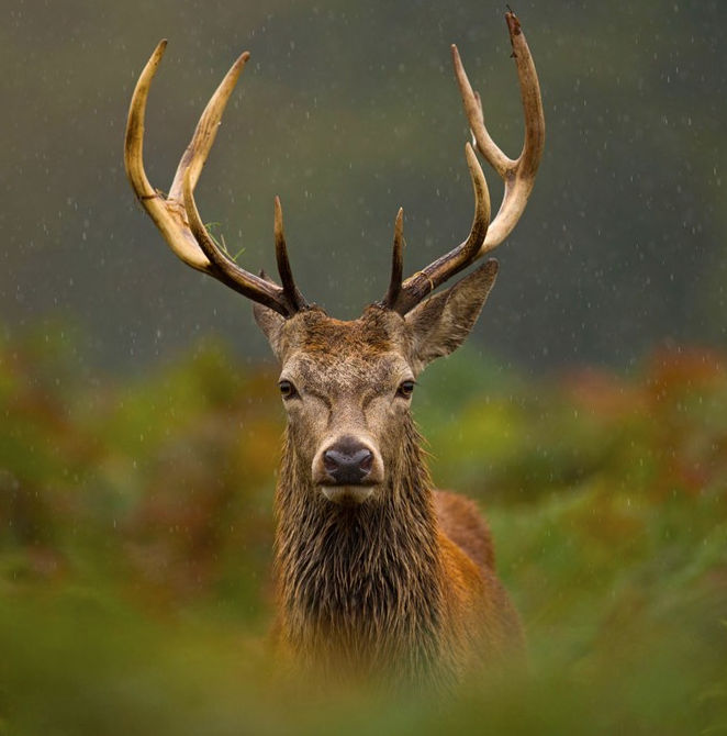 John Fisher Cottage | Self Catering Cottage North West Highland