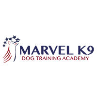 Best Dog Training & Caring Services | Marvel K9 Dog Training  &hellip;