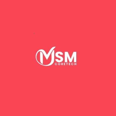 Web Development & Digital Marketing Jaipur | MSM Coretech
